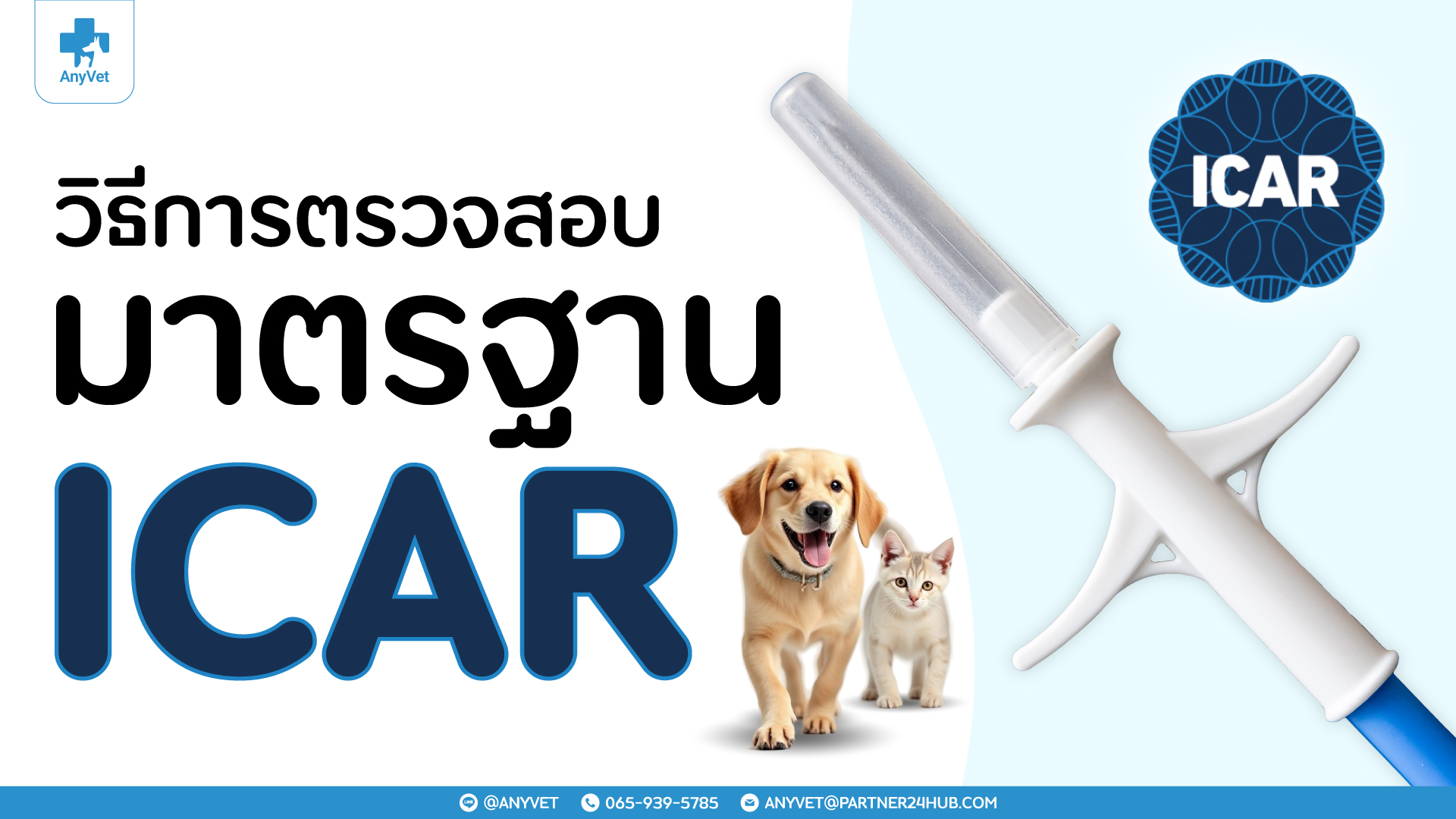 How to Verify If Your Pet’s Microchip Is ICAR-Certified